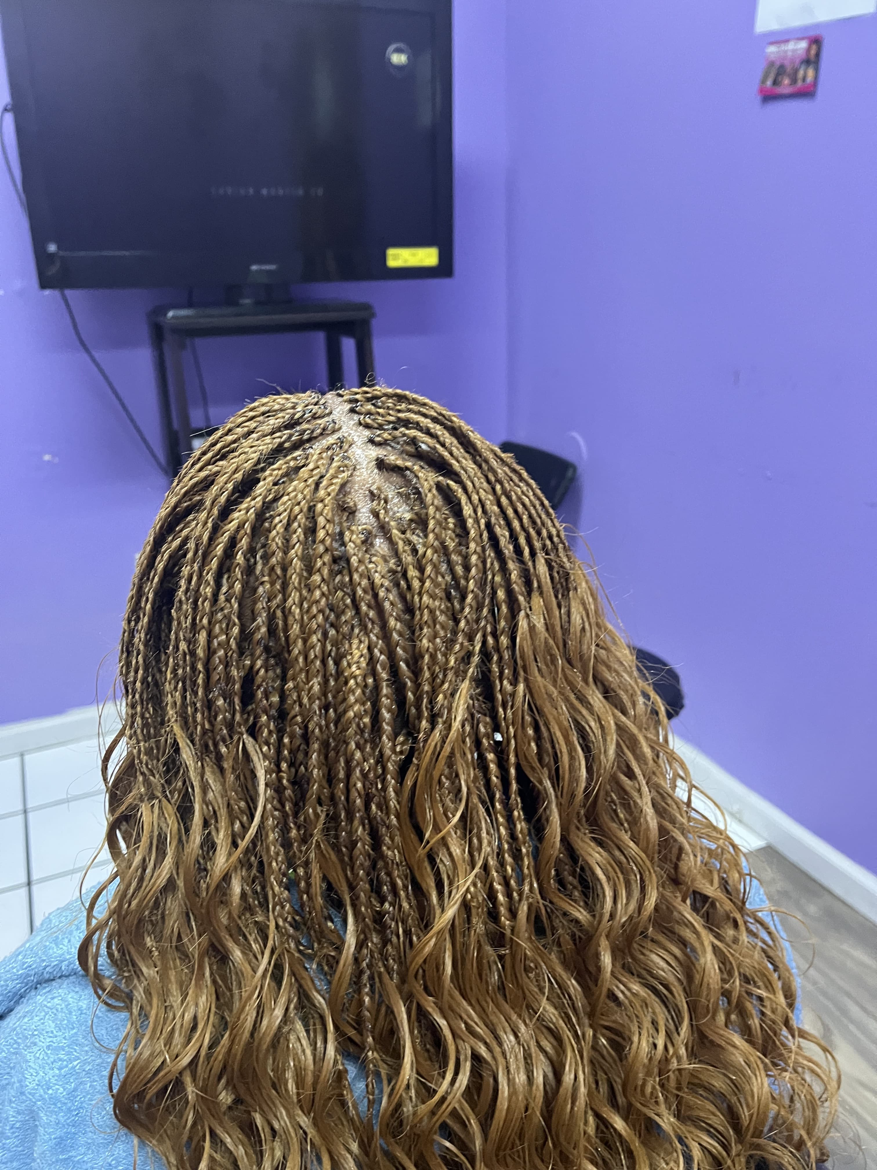 Braids 6