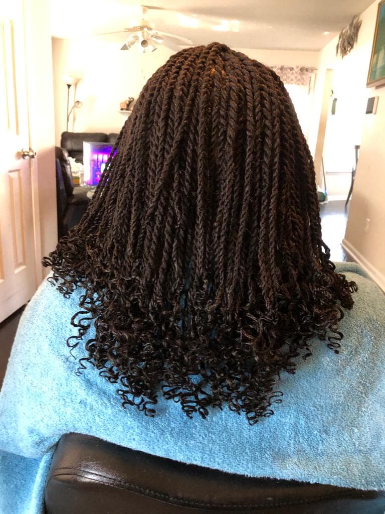 Braids 1