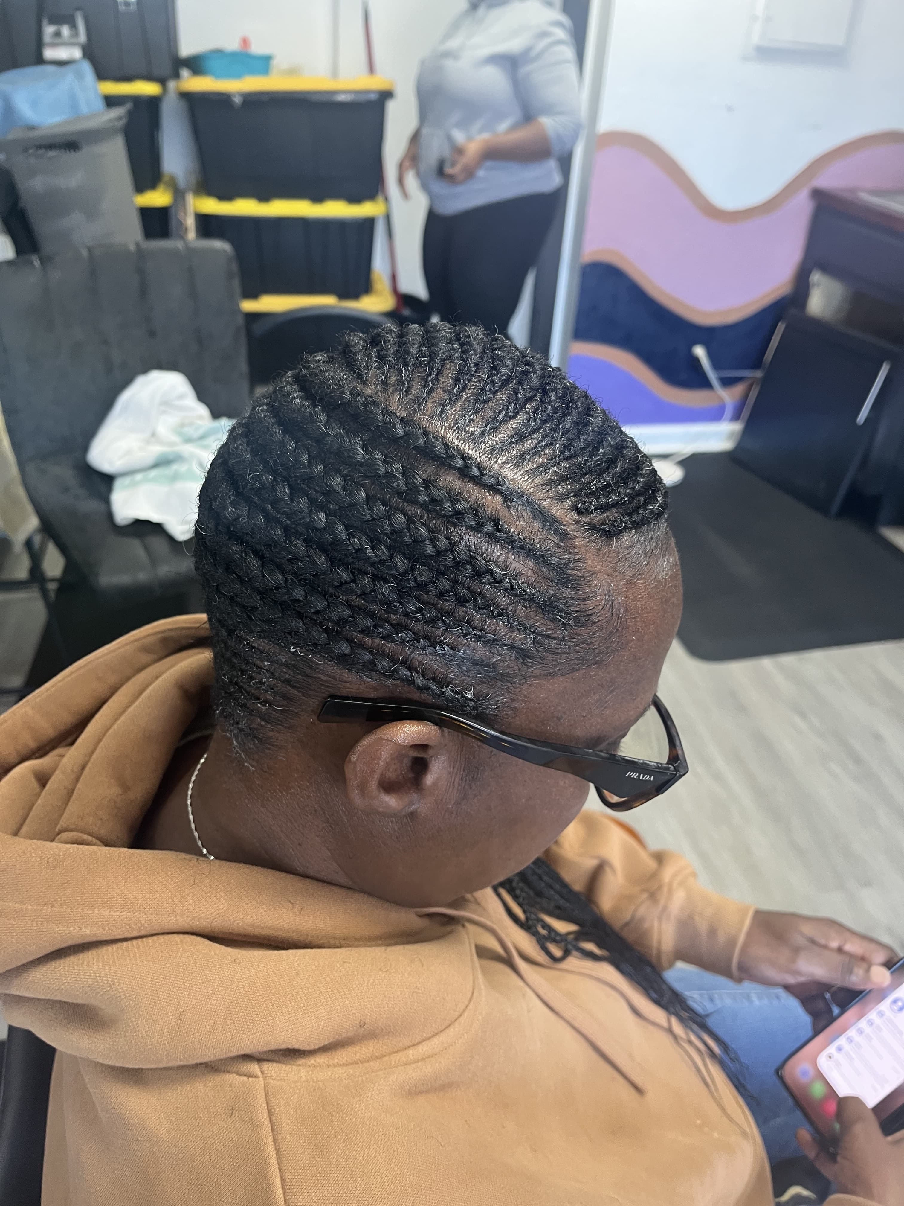 Braids 6