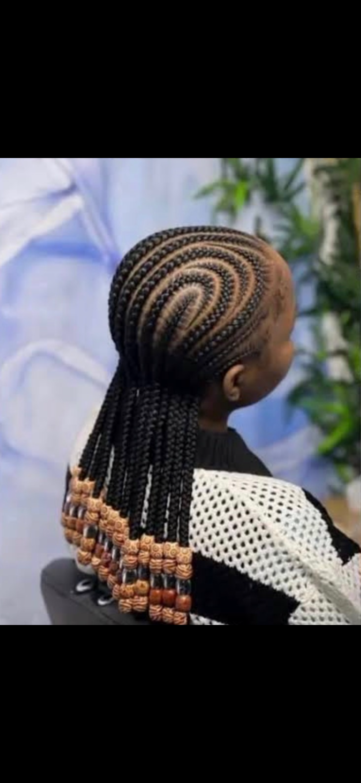 Braids 1